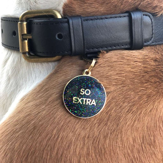 Load image into Gallery viewer, So Extra Dog ID Tag
