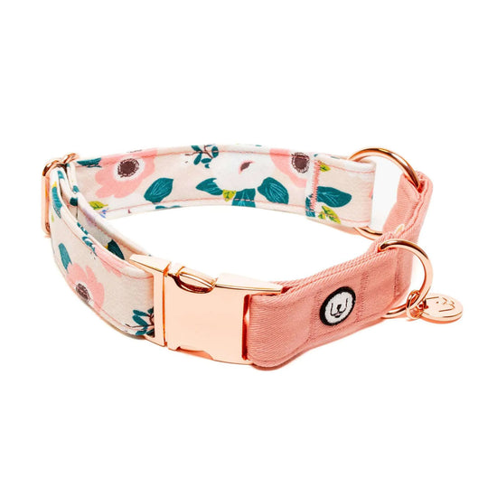 Load image into Gallery viewer, Anemone Dream Eat Play Wag Dog Collar
