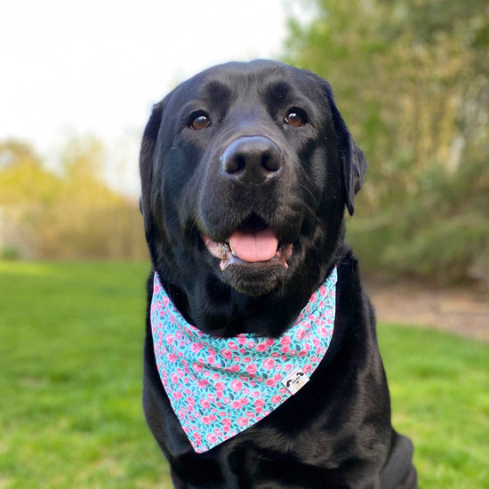 Load image into Gallery viewer, Spring Flowers Dog Bandana
