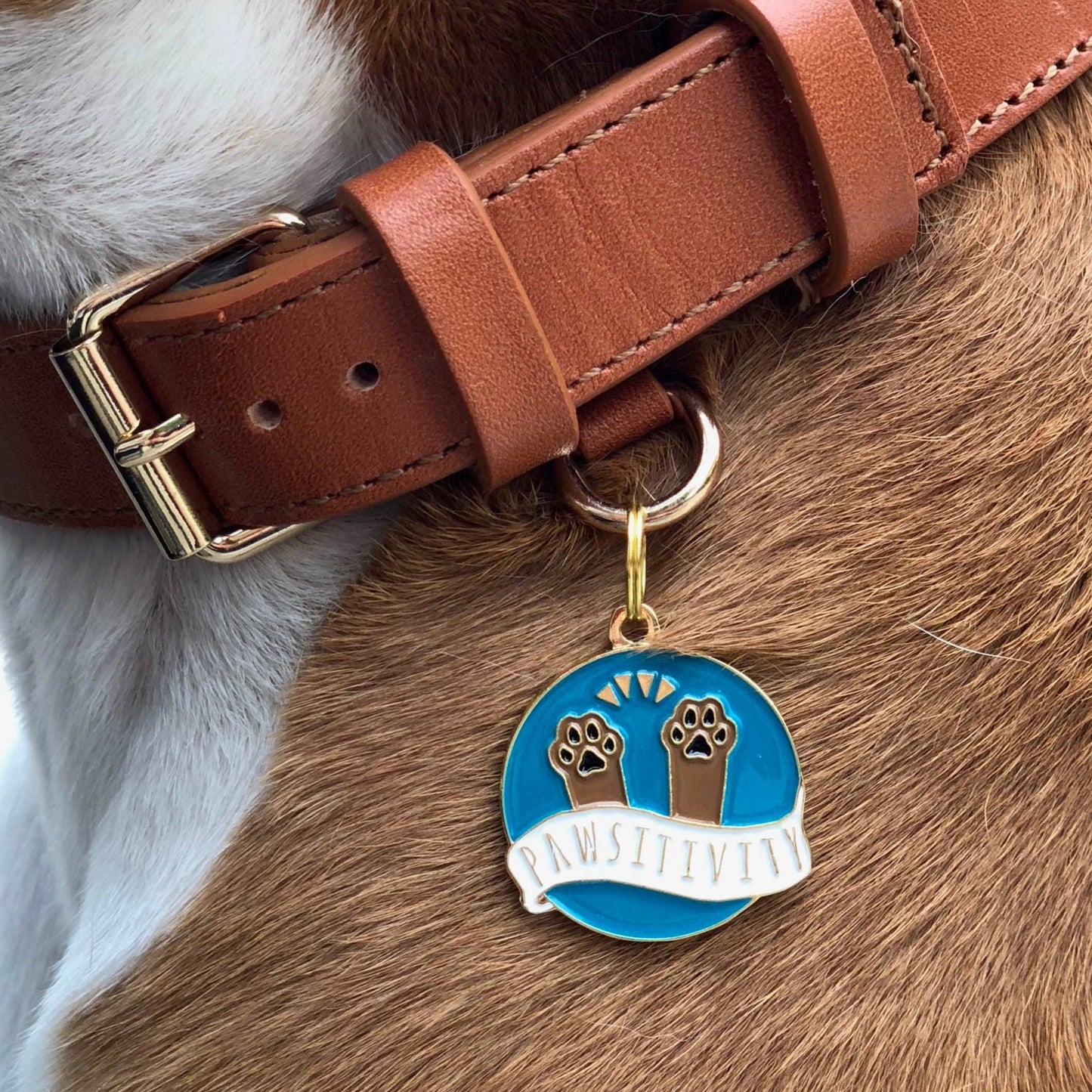 Load image into Gallery viewer, Pawsitivity Pet ID Tag
