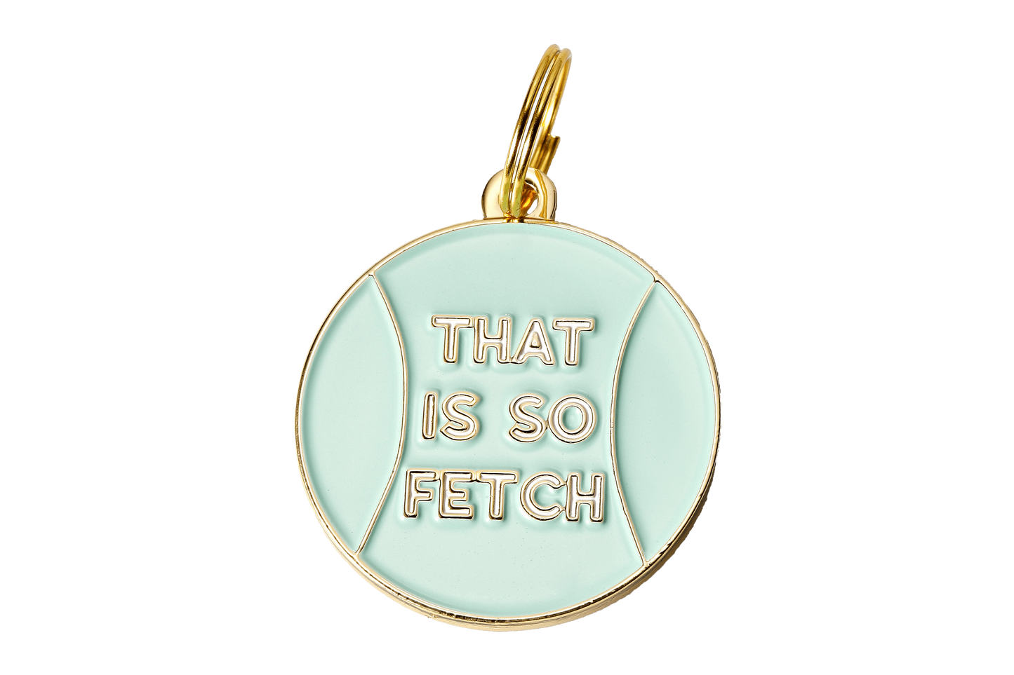 Load image into Gallery viewer, So Fetch Dog ID Tag
