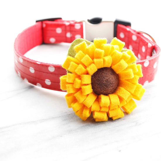 Sunflower Dog Collar Flower