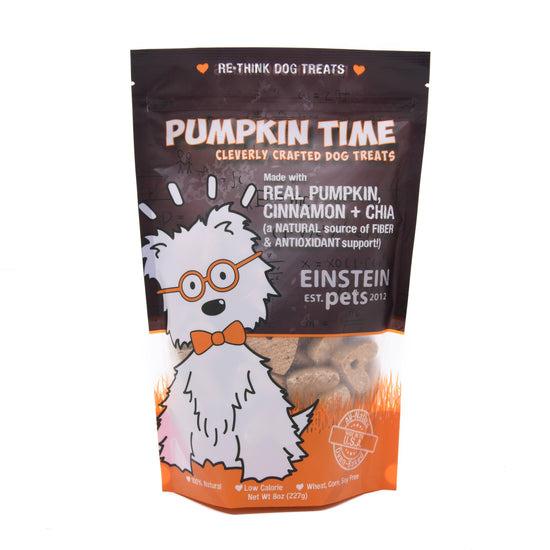Einstein's Pumpkin Time Organic Dog Treats
