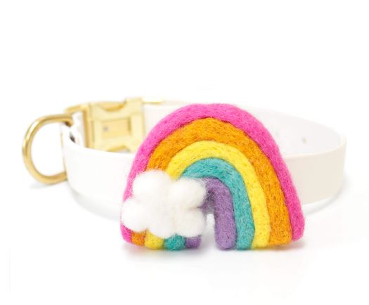 Rainbow Dog Collar Accessory - Bright Rainbow