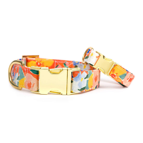 Load image into Gallery viewer, Clementine Dog Collar
