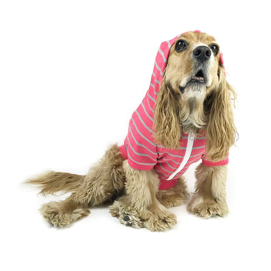 Dog Zip Up Hoodie - Hot Pink Stripe
