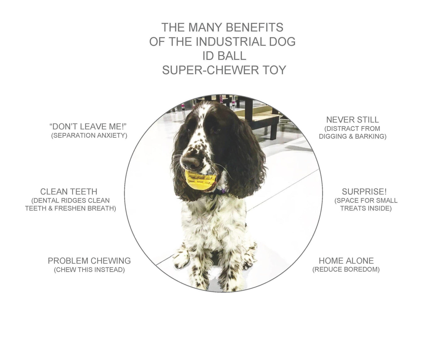 ID Gear Ball - Chew Toy - Retrieving Toy - Large - YellowID Gear Ball - Chew Toy - Retrieving Toy - Large - Yellow