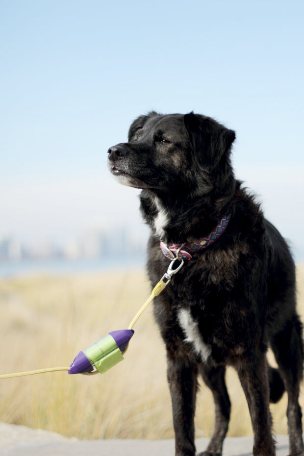 Loop Purple Dog Poop Bag Holder